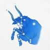 bluetaurus4life